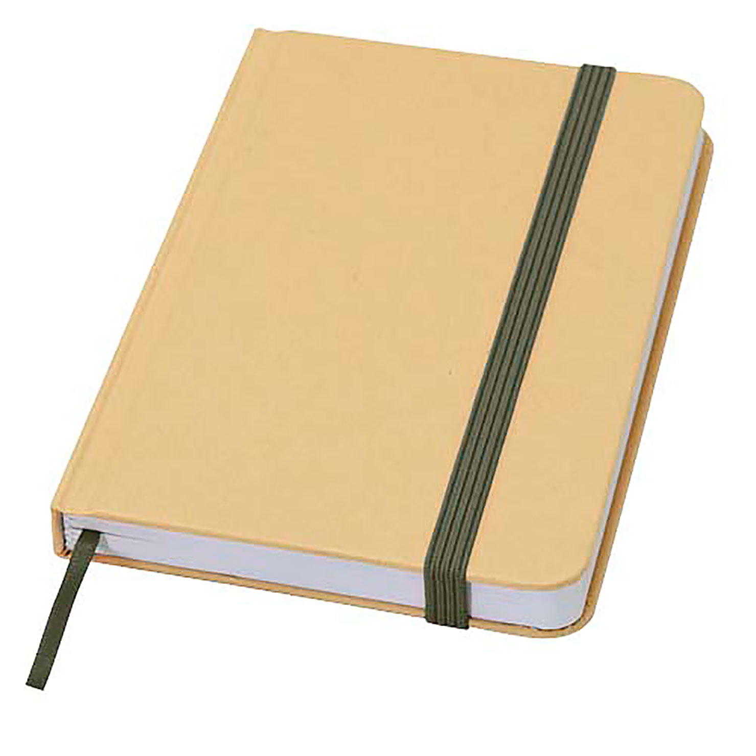 Reed A6 Hardcover Notizbuch, blanko, aus recyceltem Material - Grün