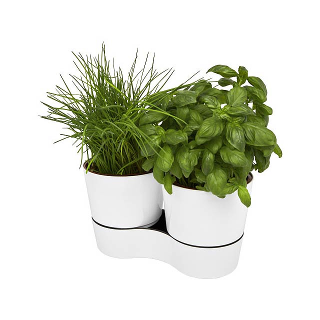 Herbs twin kitchen pot - white