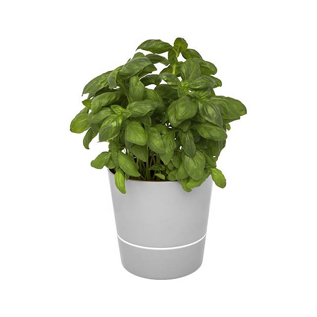 Herbs single kitchen pot - grey