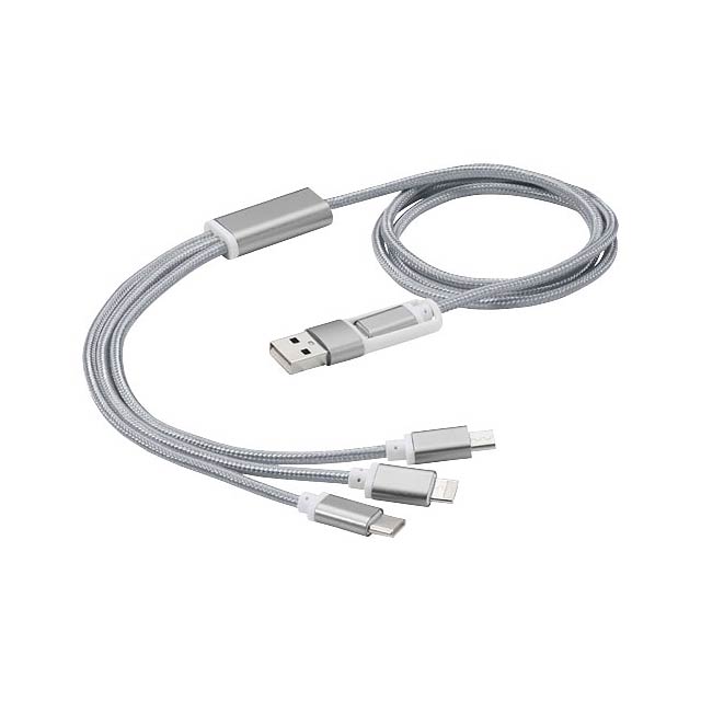 Versatile 5-in-1 charging cable - silver