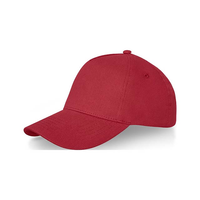 Doyle 5 panel cap - transparent red