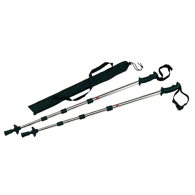 Extendable trekking sticks FIT AND FUN - silver