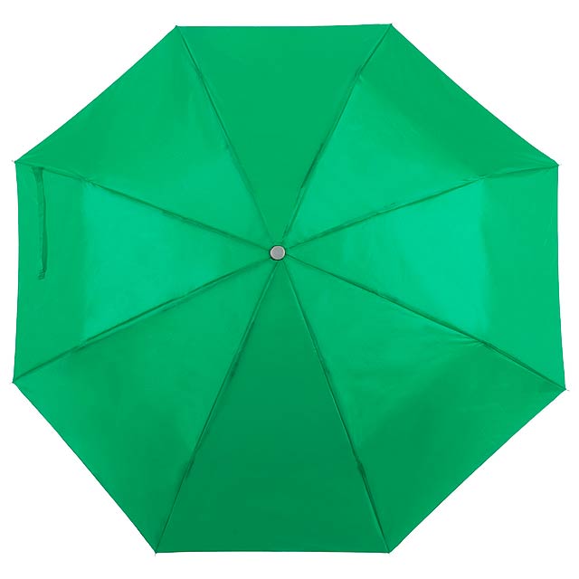 Regenschirm - Grün