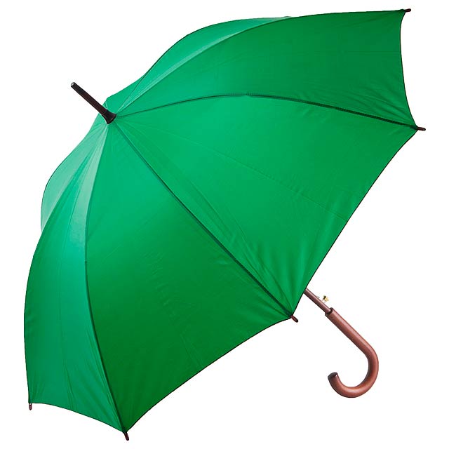Automatic umbrella Holovaty - green