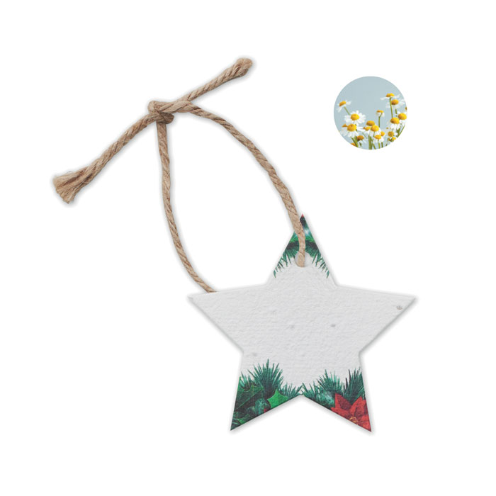Seed paper Xmas ornament - STARSEED - white
