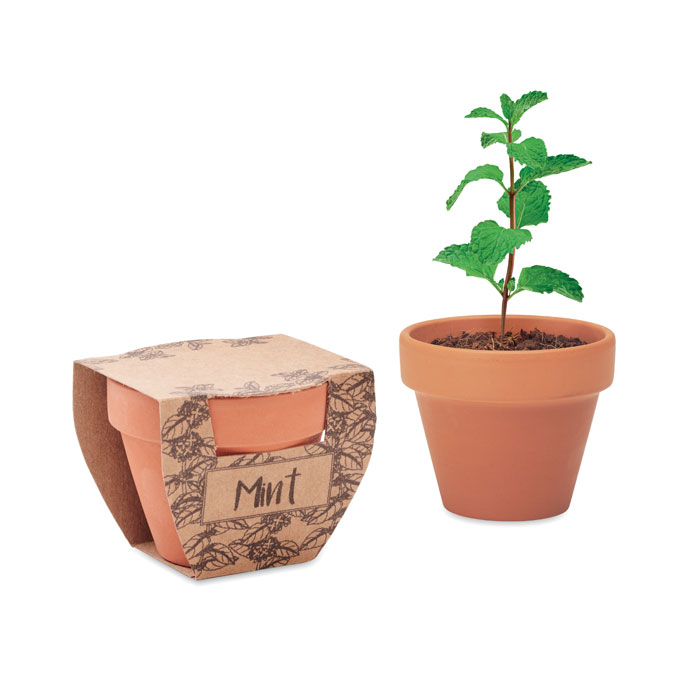 Terracotta pot mint seeds - MINT POT - wood