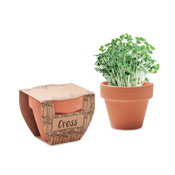 Terracotta pot cress seeds - CRESS POT - wood