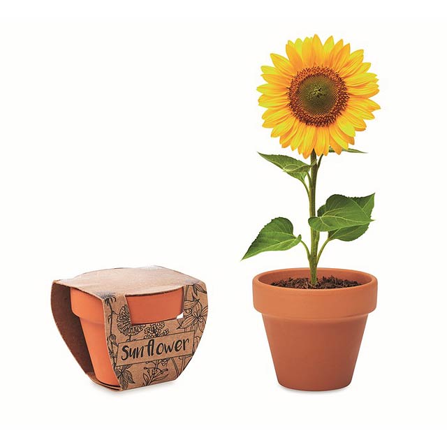 Terakotový květináč slunečnice - SUNFLOWER - dřevo