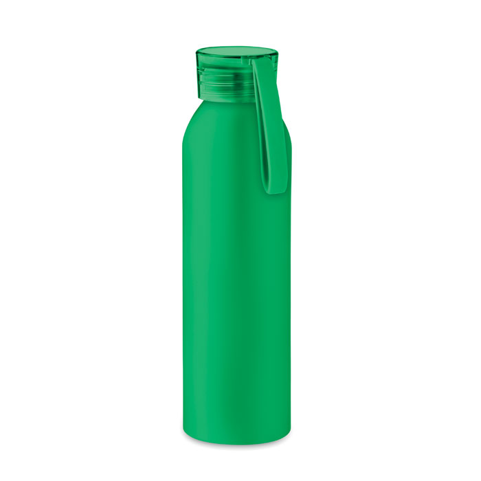 Aluminium bottle 600ml - NAPIER - green