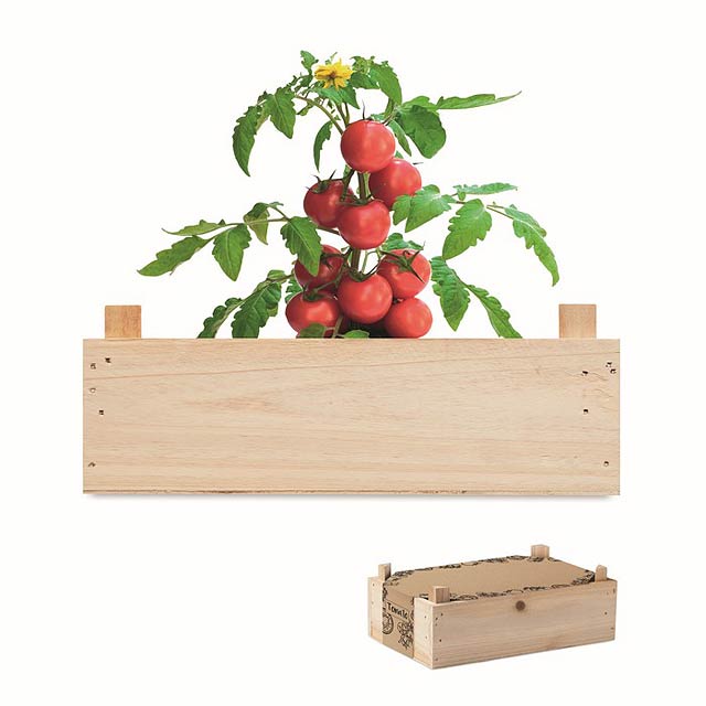 Rajčatový set v přepravce - TOMATO - dřevo