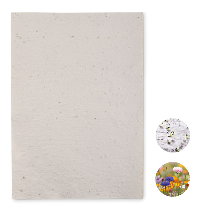 A4 wildflower seed paper sheet - ASIDI - white