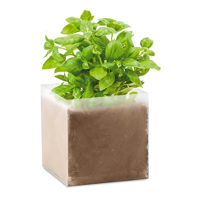 Compost with seeds "BASIL"     MO9545-13 - beige