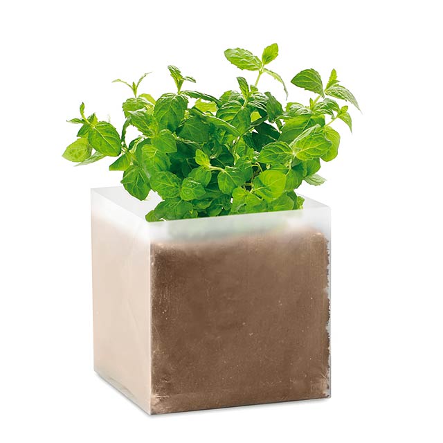 Compost with seeds "MINT"      MO9546-13 - beige