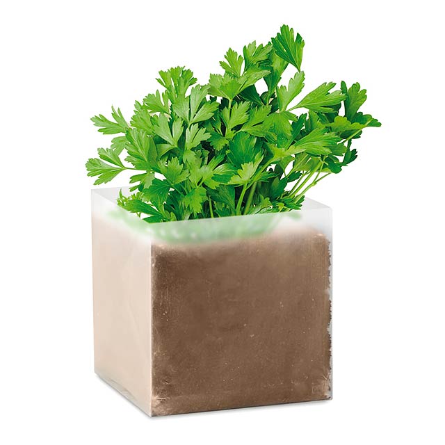 Compost with seeds "PARSLEY"   MO9547-13 - beige