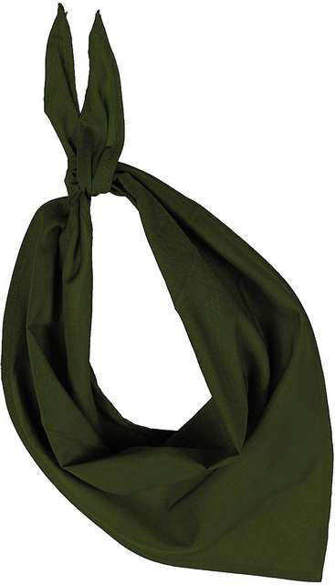 K-up Fiesta - Bandana - green